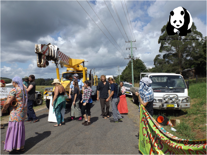 Chaos At Corndale 05