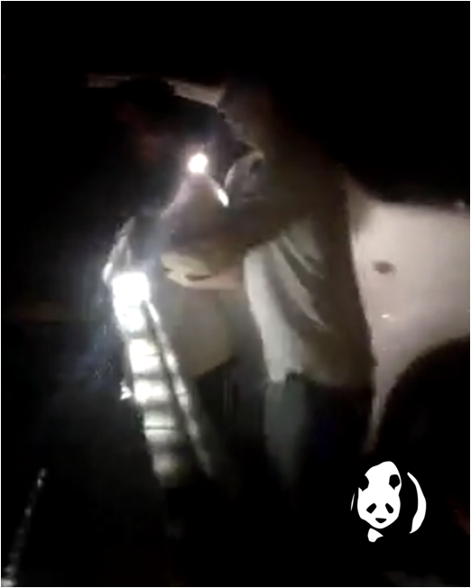 Ballina Police Dealing With Youths 01